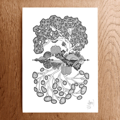 NEW: Mirror Island No. 4