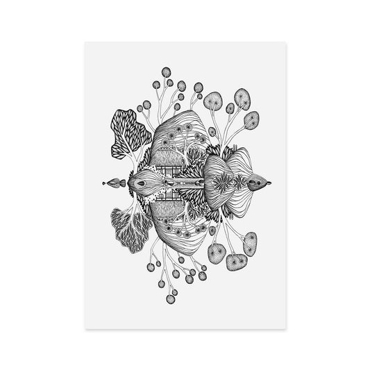 NEW: Mirror Island No. 5